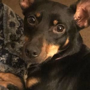 Meet your Posher, Deanna